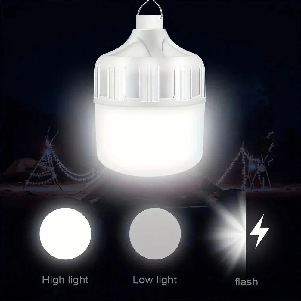 USB & Solar Powered Outdoor Light